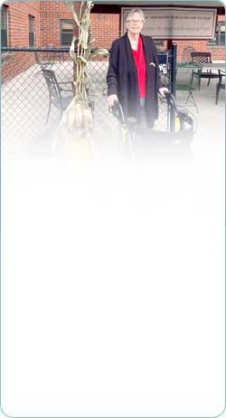 images/home/background-left-cell.jpg